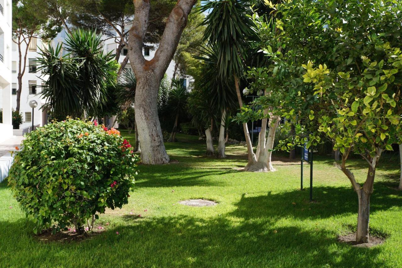Piso Muy Moderno Para 4 Personas Y Una Cuna A 7 Min Caminando A La Playa, Con Aire, Balcon Con Vistas Y 2 Piscinas 圣玛丽亚港 外观 照片